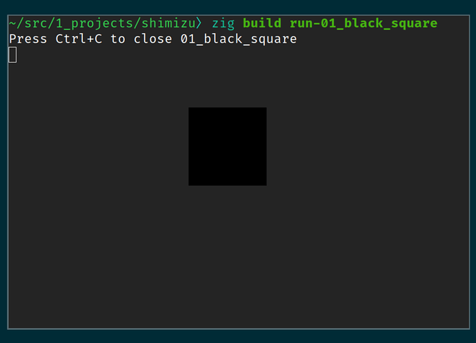 a black square on top of the terminal use to run the example