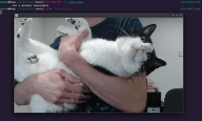 static executable using PipeWire to show a webcam feed