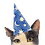 evaleek