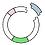 recombinant